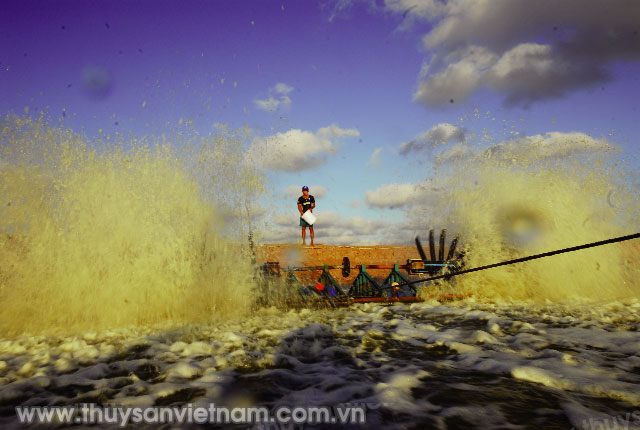 Mô hình nuôi tôm vi sinh của Công ty Trúc Anh   Ảnh: PTC